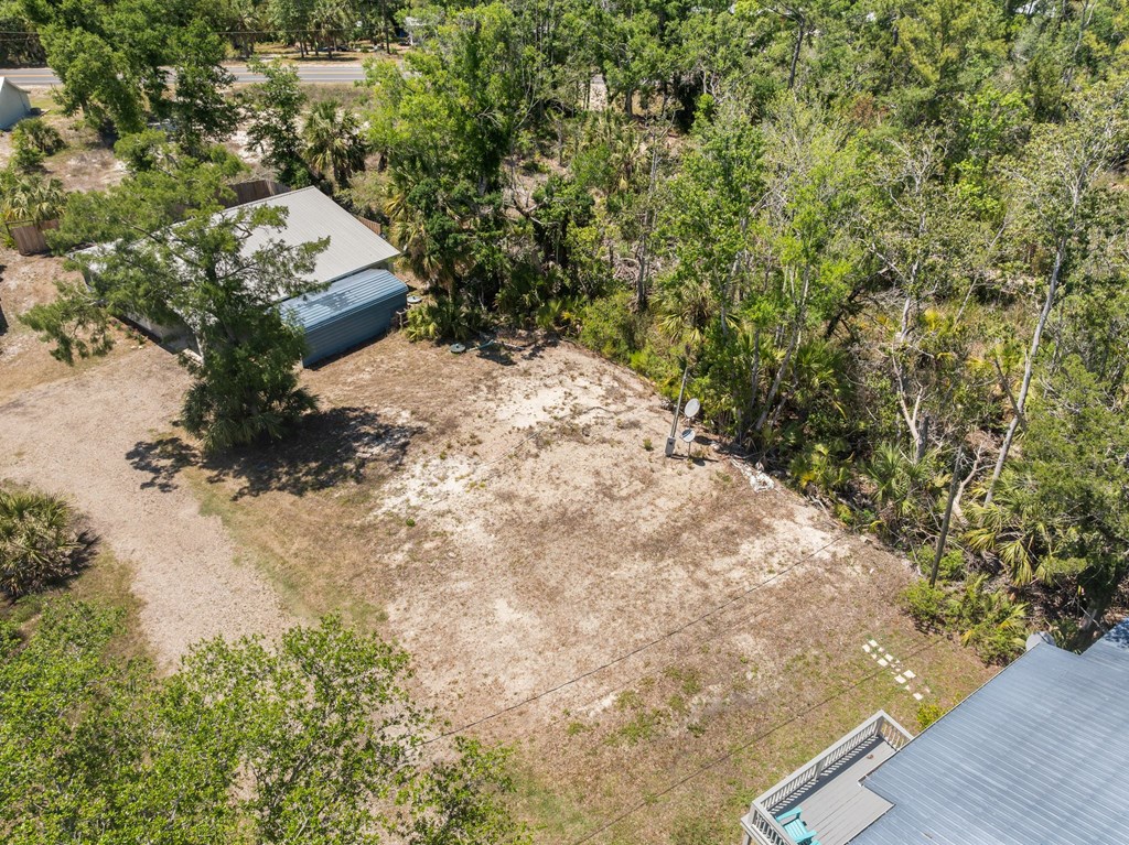 Land in Steinhatchee 3