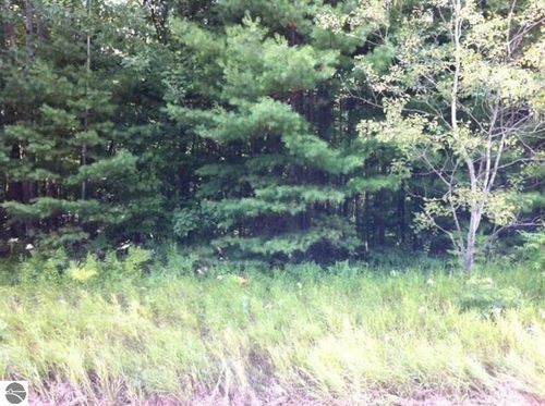 N/A S Huron Road, Sims Township, MI, 48703 | Card Image