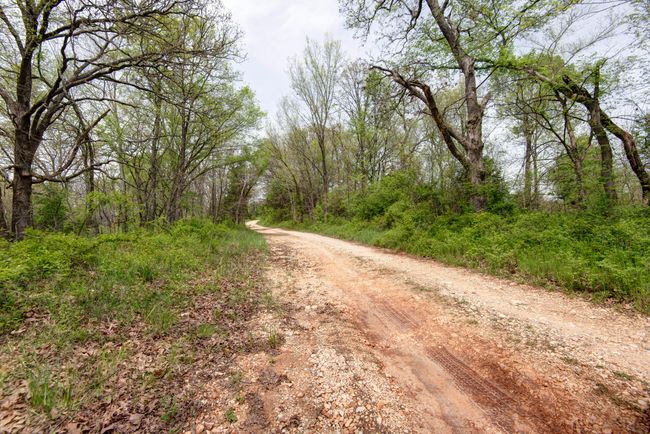 Mt. Carmel (3) | Image 13