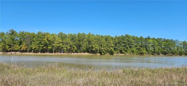 0 Piney Point Rd, Home with 0 bedrooms, 0 bathrooms and null parking in Onemo VA | Image 7