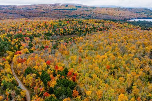 Lot 1 Bear Tree Road, Orford, NH, 03777 | Card Image
