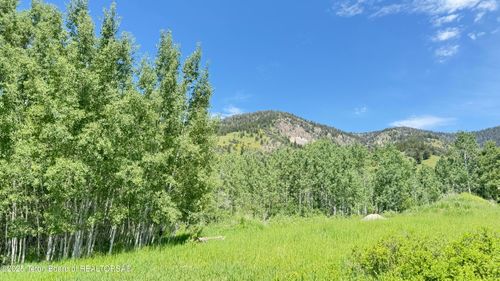 20 Dogwood Dr, Star Valley Ranch, WY, 83127-5256 | Card Image