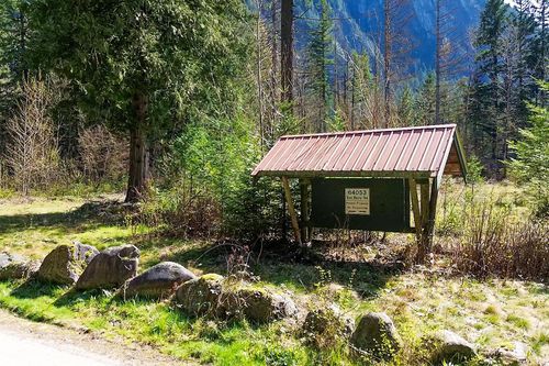 {{alt}} | Card Image