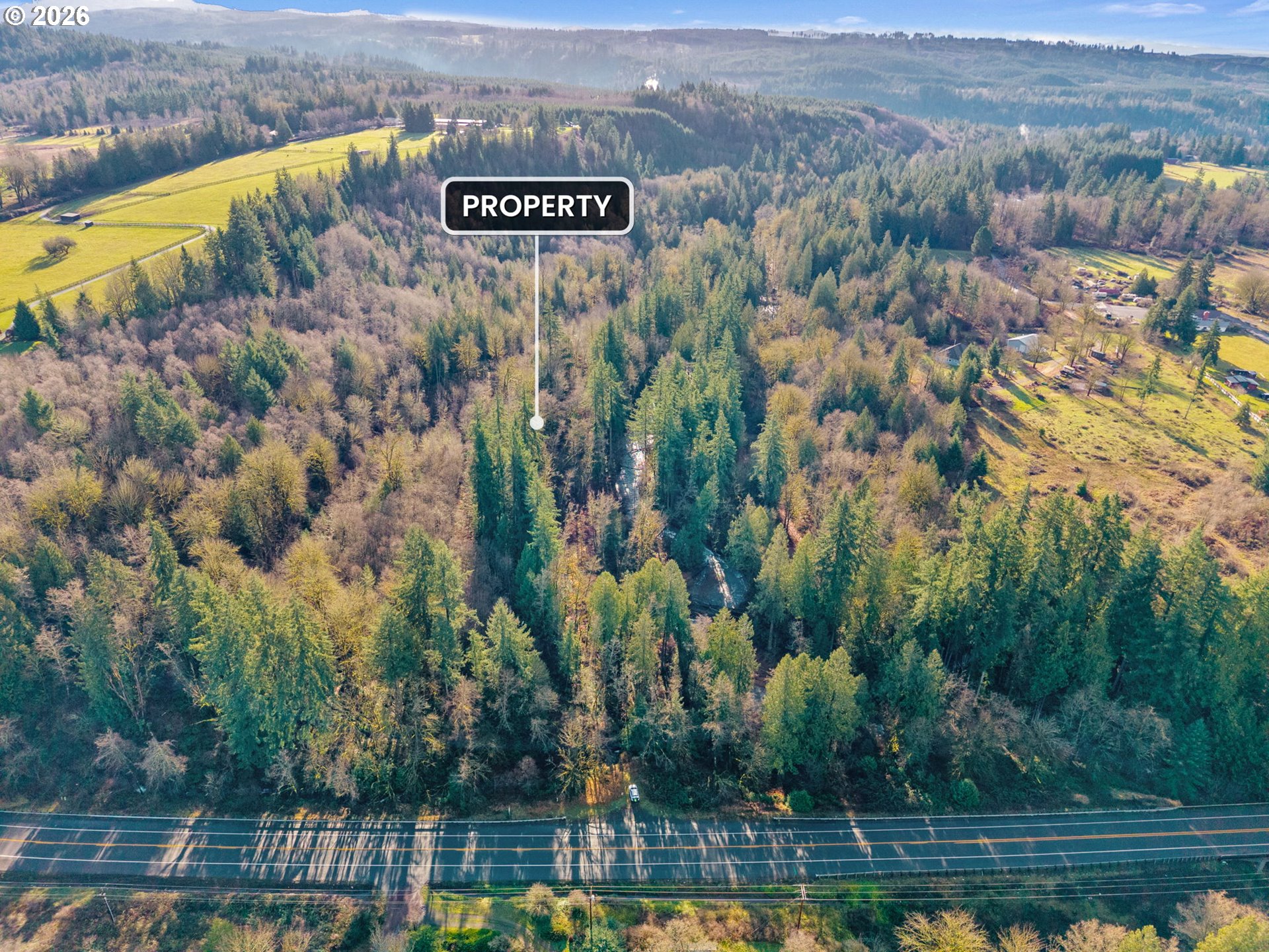 Land in Mossyrock 4