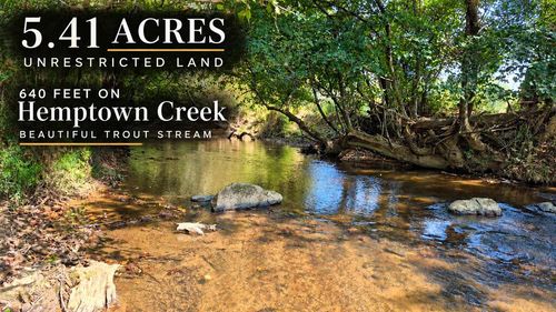 51 Evans Dr, Morganton, GA, 30560-3303 | Card Image
