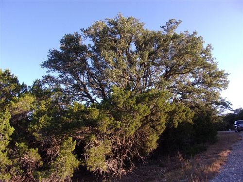 361/395 Mountain Wood Drive, Canyon Lake, TX, 78133 | Card Image