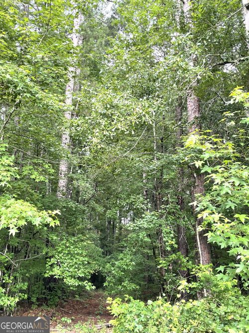 0 Sims St, Barnesville, GA, 30204 | Card Image