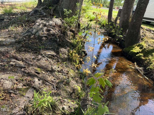 pendergraft brook | Image 10