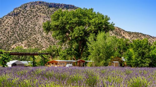 25 Purple Adobe Lavender Farm, Abiquiu, NM, 87510 | Card Image