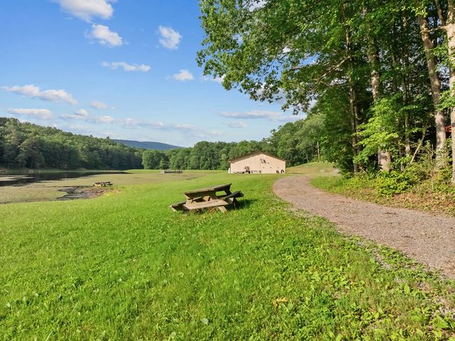 1071 Lodge Dr, Home with 4 bedrooms, 2 bathrooms and null parking in Bastian VA | Image 59