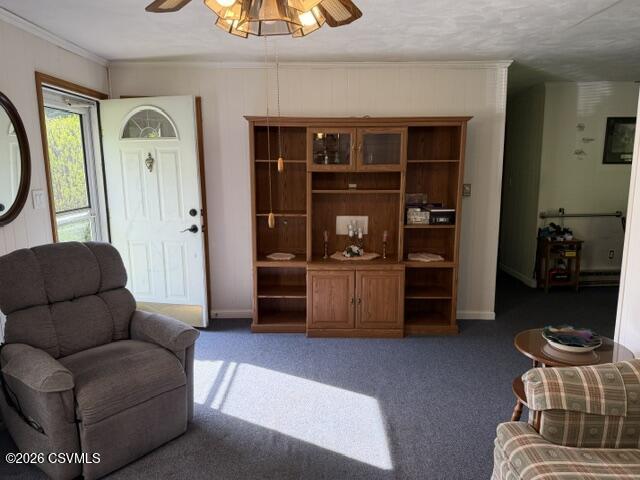 Residential in Selinsgrove 4