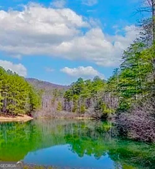 0 Golden Delicious Rd, Clarkesville, GA, 30523 | Card Image