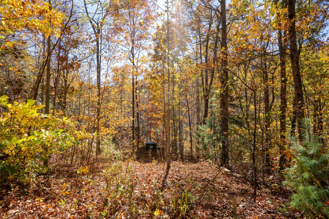 Land in Glenville 3
