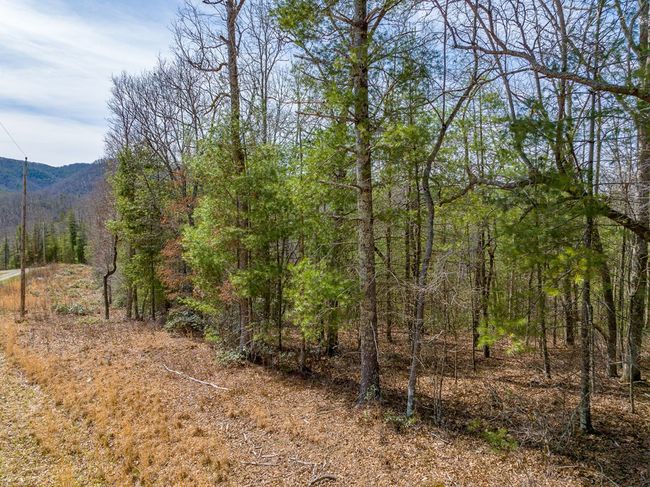 Lot 6 N Sunset Lane, Home with 0 bedrooms, 0 bathrooms and null parking in Bland VA | Image 25