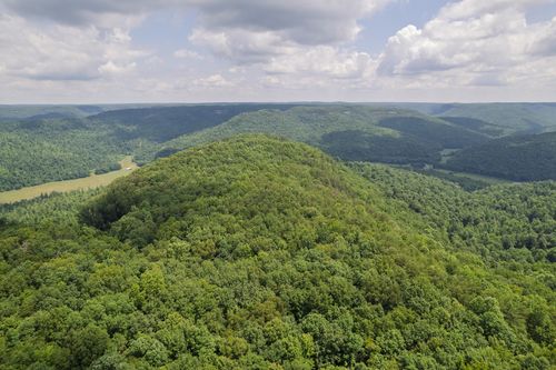 1313 Flat Rock Rd, Jamestown, TN, 38556-2149 | Card Image