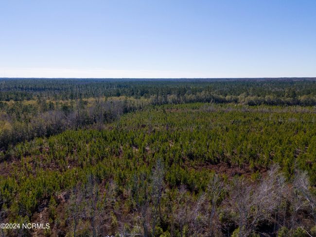 00 Sykes Town Rd, Home with 0 bedrooms, 0 bathrooms and null parking in Currie NC | Image 16