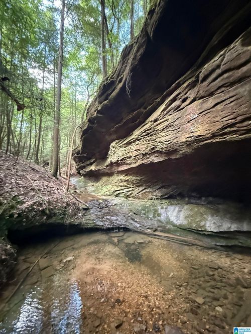 50-acres-50 Acres County Road 2, Double Springs, AL, 35553 | Card Image