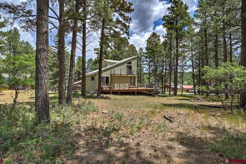 46 Carefree Pl, Pagosa Springs, CO, 81147-9166 | Card Image