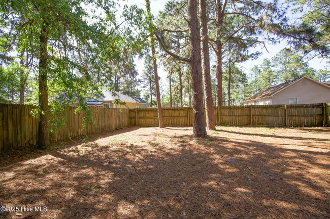 195 Woodgreen Dr, House other with 3 bedrooms, 2 bathrooms and null parking in Aberdeen NC | Image 11