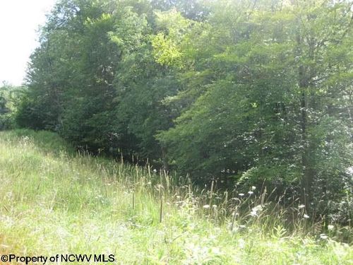Lot 2 Northlake Development Drive, Davis, WV, 26260 | Card Image