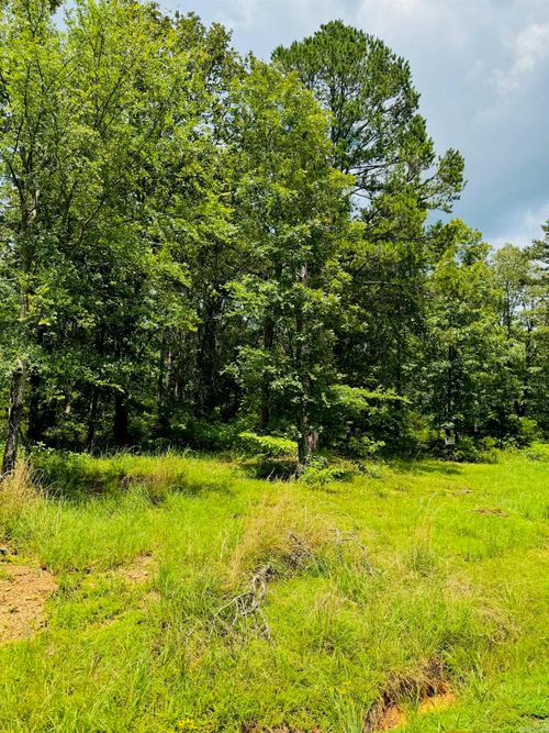 Lot 46 Primrose Creek Cir, Heber Springs, AR, 72543-8753 | Card Image