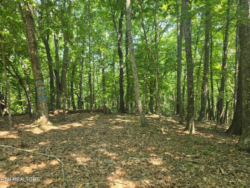 16 Trentwood Ter, Crossville, TN, 38558 | Card Image