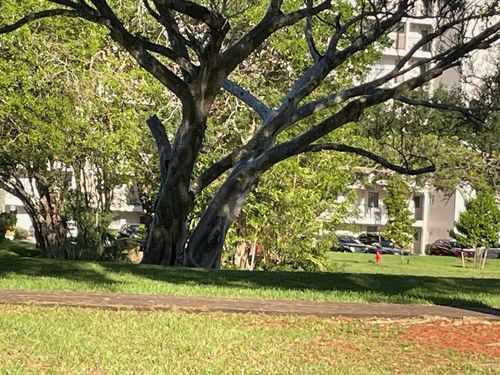 apt-603-605 Oaks Dr, Pompano Beach, FL, 33069-3747 | Card Image