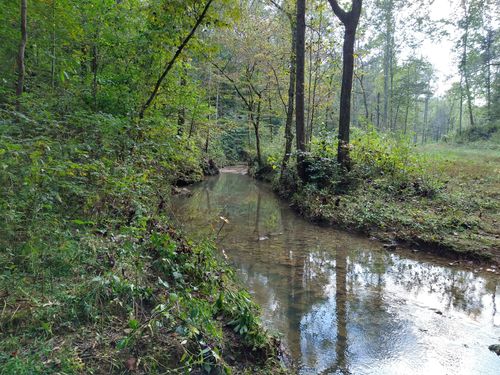 7500 Antioch Rd, Smithville, TN, 37166-5351 | Card Image