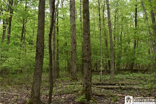 0 Harris Hollow Rd, Gerry, NY, 14740 | Card Image