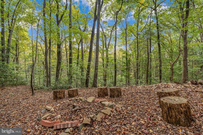 7 Beech Tree Ct, House other with 5 bedrooms, 3 bathrooms and null parking in FREDERICKSBURG VA | Image 53