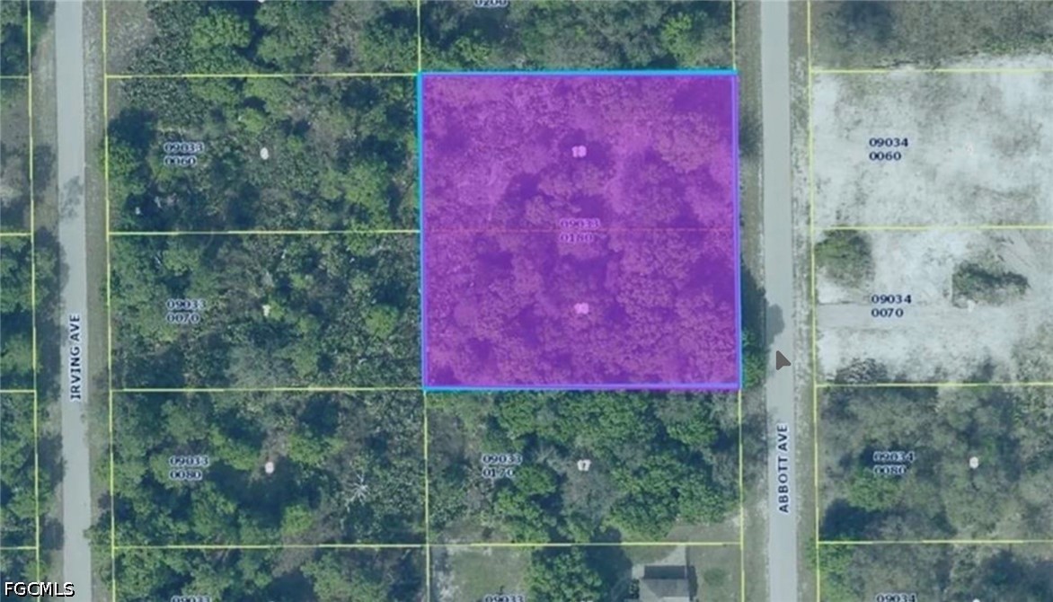 Land in Lehigh Acres