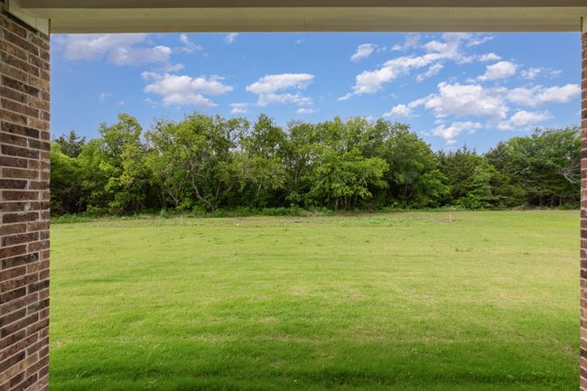 View of grassy yard | Image 14