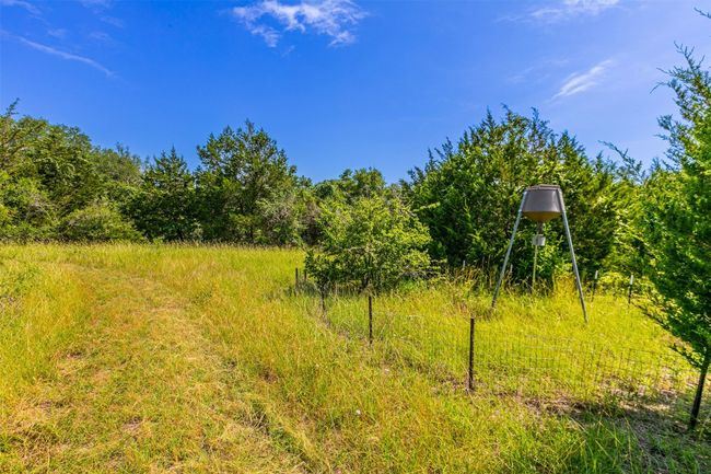 View of nature | Image 38