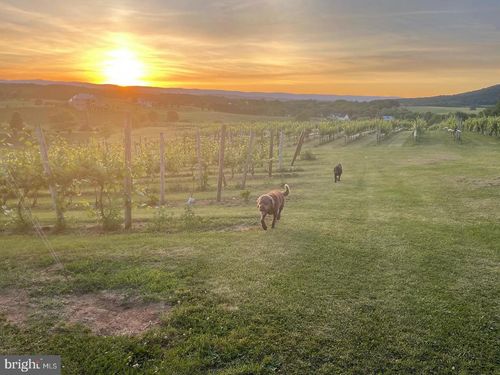 2110 Quicksburg Rd, QUICKSBURG, VA, 22847-1259 | Card Image