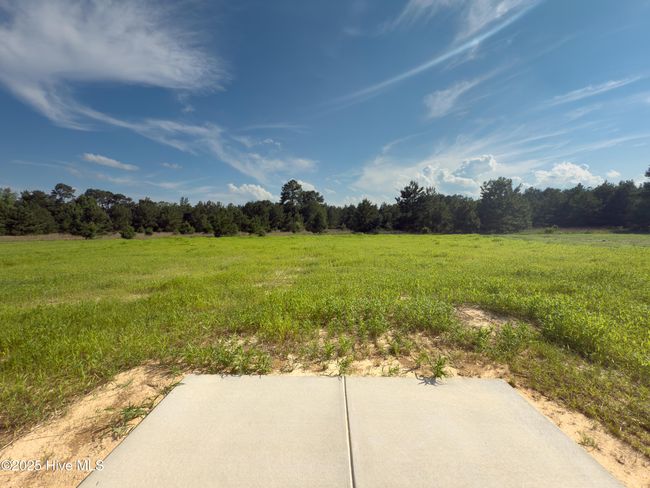 4878 Blue Springs Rd, House other with 4 bedrooms, 3 bathrooms and 2 parking in Red Springs NC | Image 14
