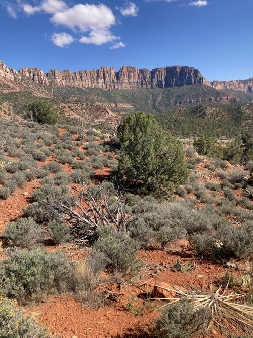 1 Acre Eagle Crags Rd, Rockville, UT, 84763 | Card Image