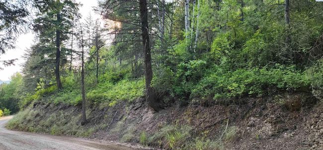 1555 Comstock Mine Rd, Home with 0 bedrooms, 0 bathrooms and null parking in Colville WA | Image 12