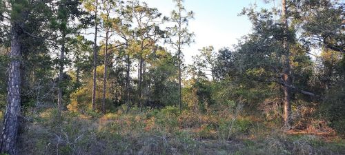 704 Plumosa Dr, Indian Lake Estates, FL, 33855 | Card Image