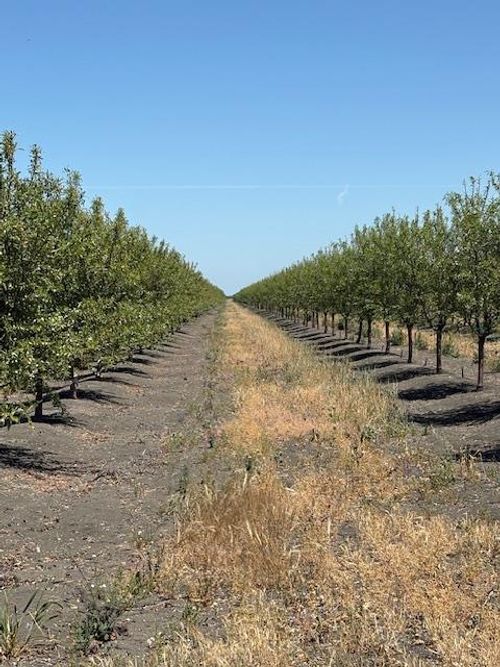 99600 N Douglas Ave, Firebaugh, CA, 93622 | Card Image