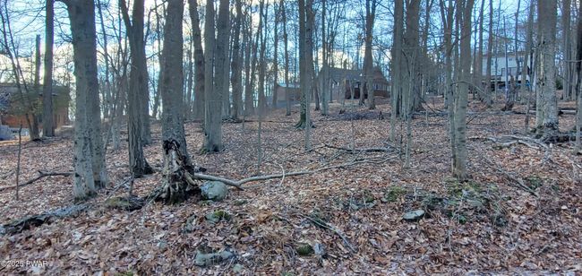 Lot | Image 4