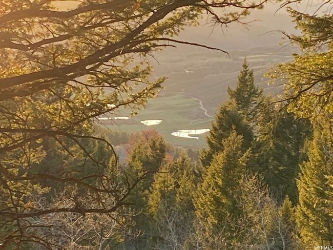 View of nature | Image 25