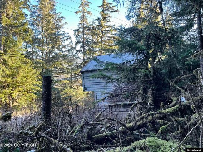 L9 B5 Beach Road, Home with 0 bedrooms, 0 bathrooms and null parking in Whale Pass AK | Image 6