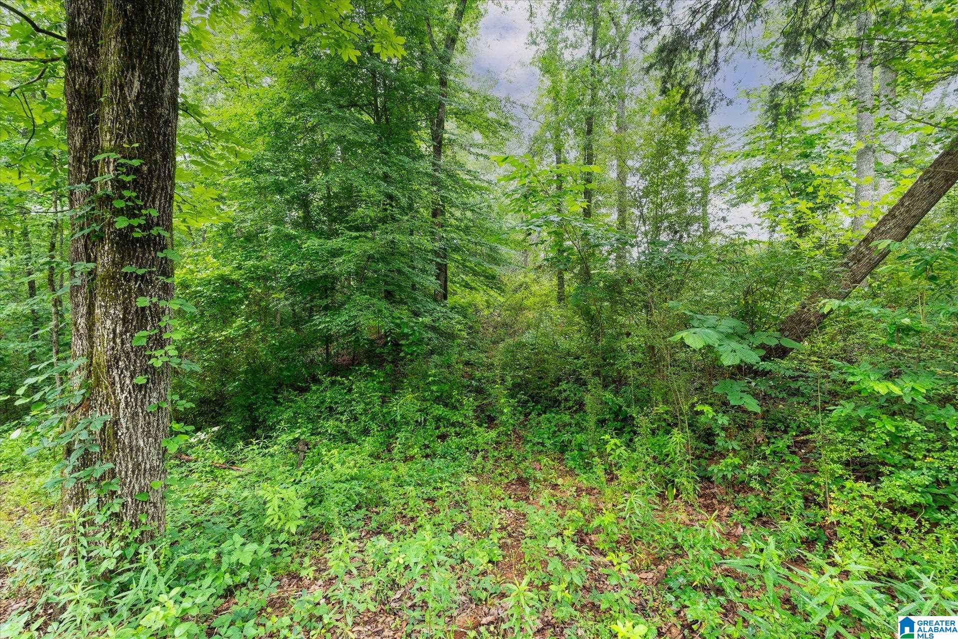 Residential in WOODLAND 4