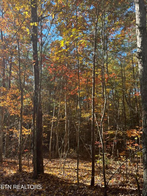 109 Cherokee Path, Tellico Plains, TN, 37385 | Card Image