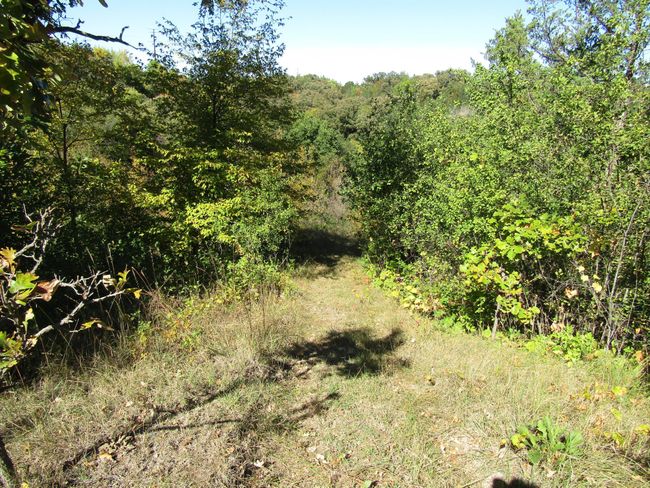 Road to Creek | Image 22