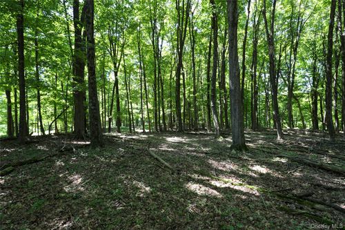 458 Lucas Avenue, Ulster, NY, 12487 | Card Image