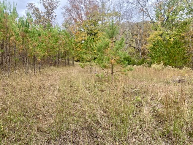 427 Blooming Grove Rd, House other with 2 bedrooms, 2 bathrooms and null parking in Five Points TN | Image 33
