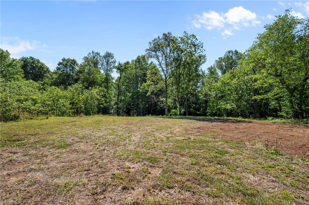 Land in Browns Summit 5