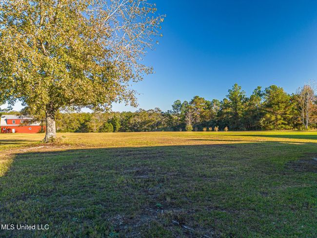 Back yard | Image 71