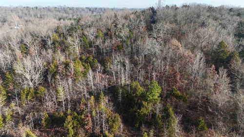 905 Fallen Tree Rd, Marshall, AR, 72650 | Card Image